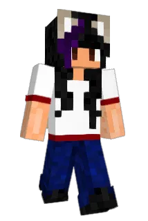 YinTheShadow Minecraft avatar full body