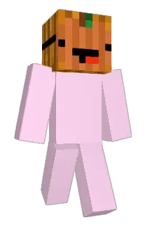 Ymast Minecraft avatar full body