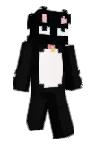 YnPlys Minecraft avatar full body