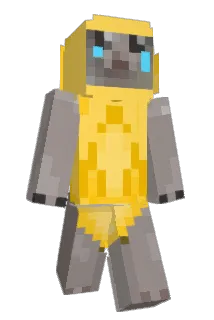 YoBlanket Minecraft avatar full body