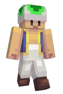 YoungToad Minecraft avatar full body
