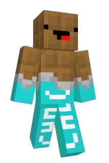 YoungVic Minecraft avatar full body