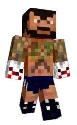 Custom render preview