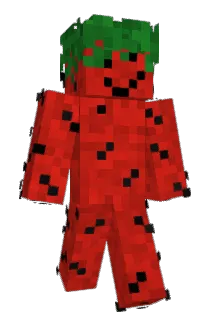 YummyFruityJuice Minecraft avatar full body