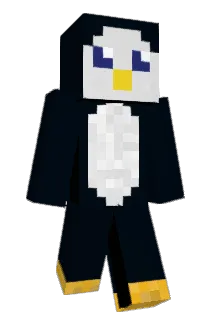 YupiigusDK Minecraft avatar full body