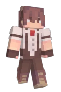 Z0II Minecraft avatar full body