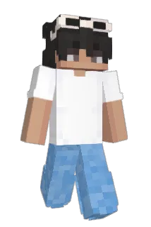 Z1V303 Minecraft avatar full body