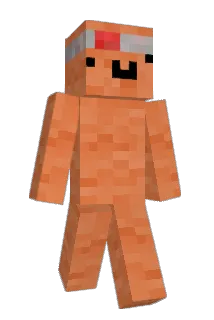 ZAZUN4 Minecraft avatar full body