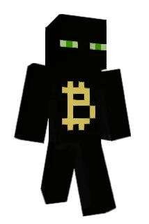 ZCoin Minecraft avatar full body