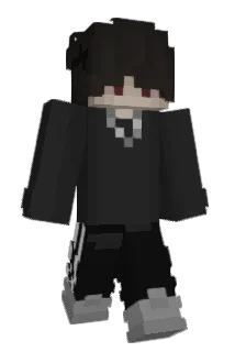 ZD10 Minecraft avatar full body