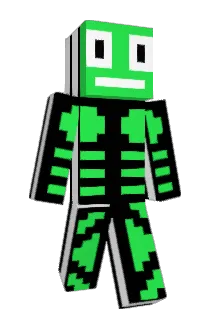 ZDOWNEM Minecraft avatar full body