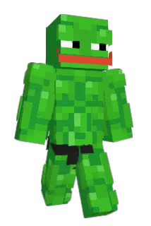 ZE4000 Minecraft avatar full body