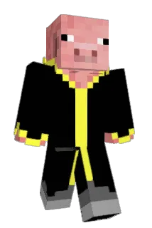 ZF_Zulu Minecraft avatar full body