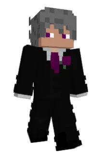 ZGA Minecraft avatar full body