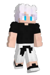ZH49 Minecraft avatar full body