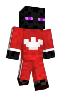 ZIBLACKIING Minecraft avatar full body