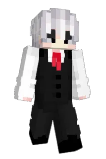 ZIDIED Minecraft avatar full body