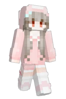 ZIPLE_ Minecraft avatar full body