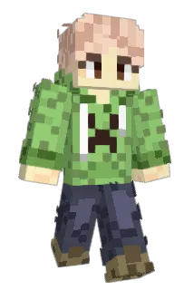 ZL15926 Minecraft avatar full body