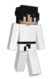 ZLRQ Minecraft avatar full body