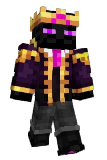 ZN2187 Minecraft avatar full body