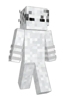 ZNDZ Minecraft avatar full body