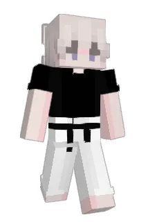 ZR0816 Minecraft avatar full body