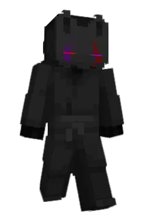 ZR1G Minecraft avatar full body