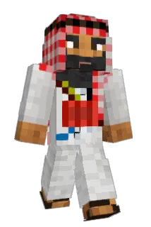 ZS507 Minecraft avatar full body