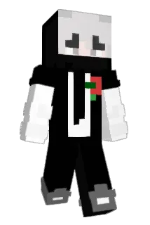 ZW512011 Minecraft avatar full body