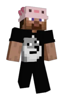 ZWC8 Minecraft avatar full body