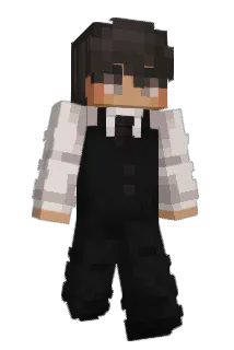 ZWTS Minecraft avatar full body