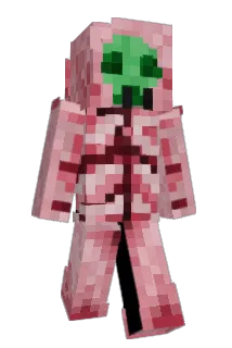ZYNbobledorp Minecraft avatar full body