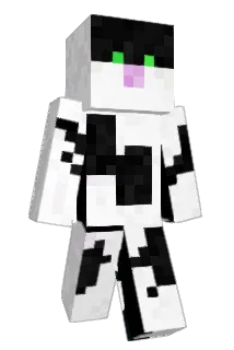 ZZ663 Minecraft avatar full body