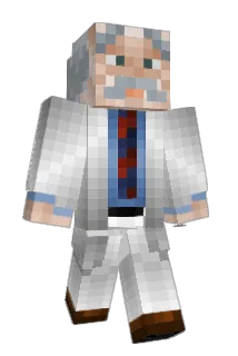 Z_65 Minecraft avatar full body