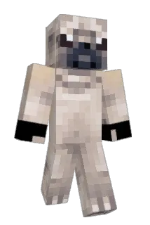 ZachSopher_ Minecraft avatar full body