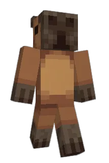ZachZach1011 Minecraft avatar full body