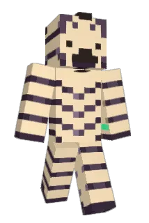 Zacorya Minecraft avatar full body