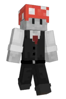 ZakCooks Minecraft avatar full body