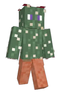 Zakofighter Minecraft avatar full body