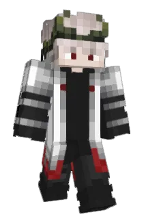 Zallexss Minecraft avatar full body