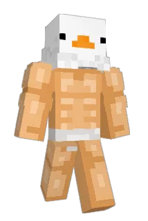 Zalucas Minecraft avatar full body