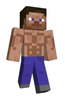 Zamolchi Minecraft avatar full body