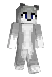 Zanderking5000 Minecraft avatar full body
