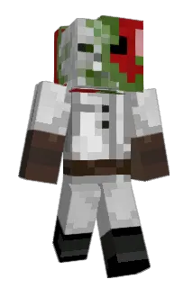 Zanhana Minecraft avatar full body