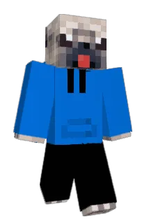 ZapazFS Minecraft avatar full body