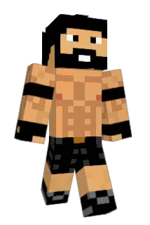 Zapdosz Minecraft avatar full body