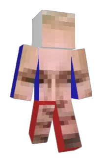 Zappyleeky Minecraft avatar full body