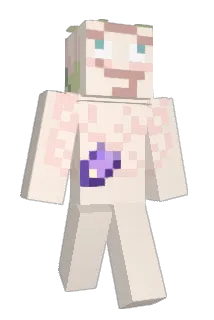 Zargnoid Minecraft avatar full body