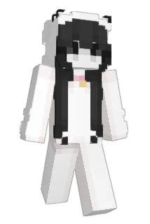 Zawisz666 Minecraft avatar full body